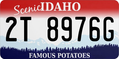 ID license plate 2T8976G