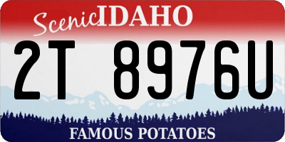 ID license plate 2T8976U