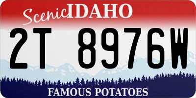 ID license plate 2T8976W