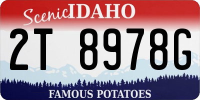 ID license plate 2T8978G