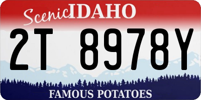 ID license plate 2T8978Y
