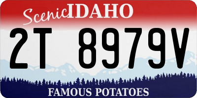 ID license plate 2T8979V