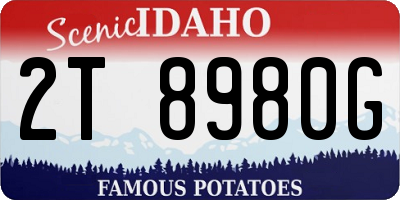 ID license plate 2T8980G