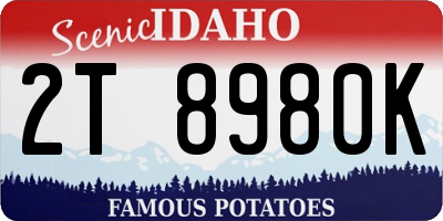 ID license plate 2T8980K