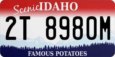 ID license plate 2T8980M