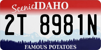 ID license plate 2T8981N