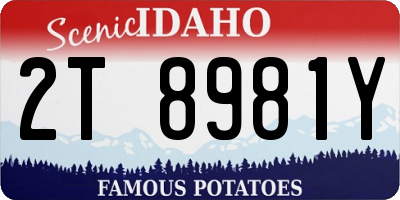 ID license plate 2T8981Y