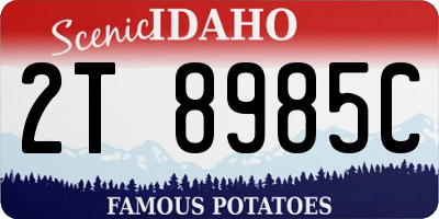 ID license plate 2T8985C