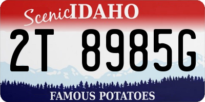 ID license plate 2T8985G
