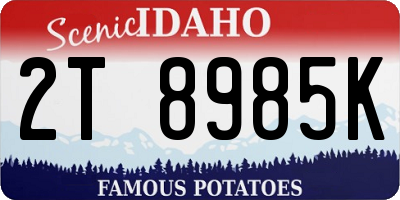 ID license plate 2T8985K