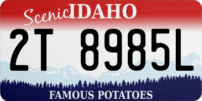 ID license plate 2T8985L