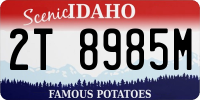 ID license plate 2T8985M