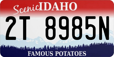 ID license plate 2T8985N