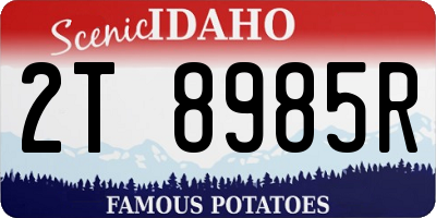 ID license plate 2T8985R