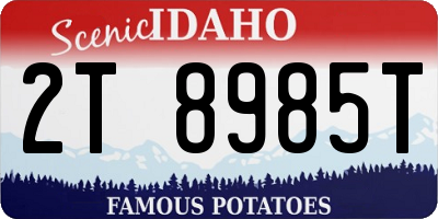 ID license plate 2T8985T