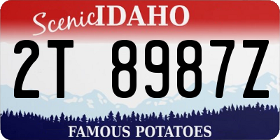 ID license plate 2T8987Z
