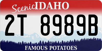ID license plate 2T8989B