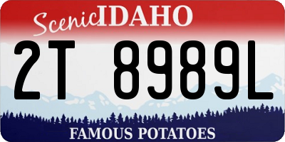 ID license plate 2T8989L
