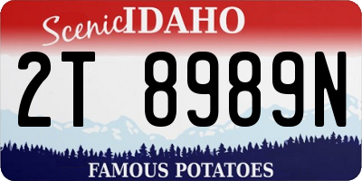 ID license plate 2T8989N