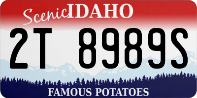 ID license plate 2T8989S