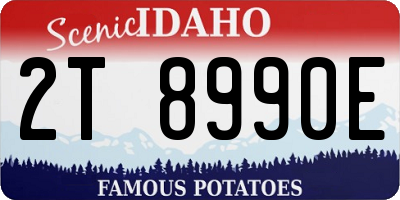 ID license plate 2T8990E