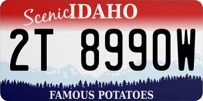 ID license plate 2T8990W