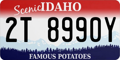 ID license plate 2T8990Y