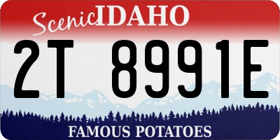 ID license plate 2T8991E