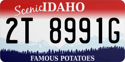 ID license plate 2T8991G