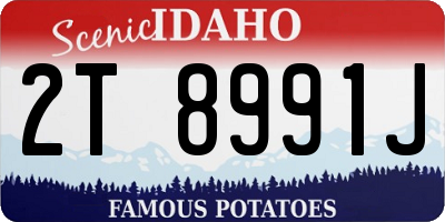 ID license plate 2T8991J
