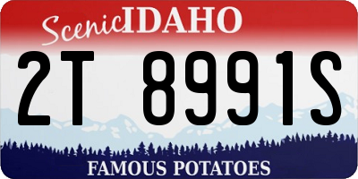 ID license plate 2T8991S