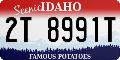 ID license plate 2T8991T