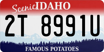 ID license plate 2T8991U