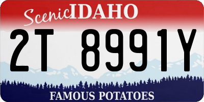 ID license plate 2T8991Y