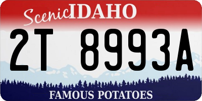 ID license plate 2T8993A