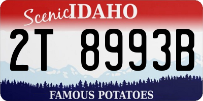 ID license plate 2T8993B