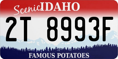 ID license plate 2T8993F