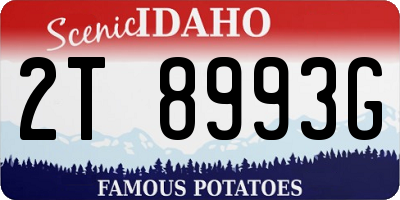 ID license plate 2T8993G