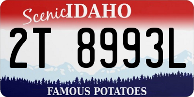 ID license plate 2T8993L