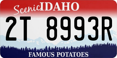 ID license plate 2T8993R