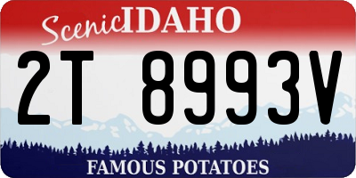 ID license plate 2T8993V