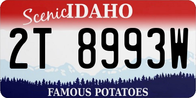 ID license plate 2T8993W