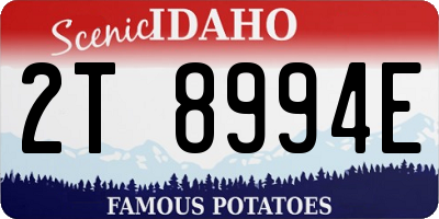 ID license plate 2T8994E