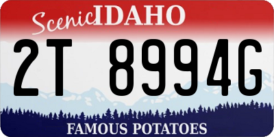 ID license plate 2T8994G
