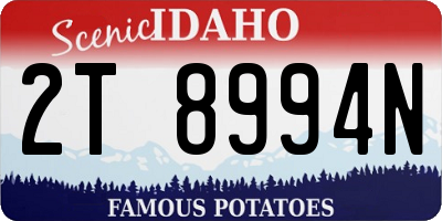 ID license plate 2T8994N