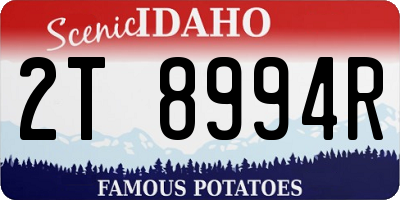 ID license plate 2T8994R