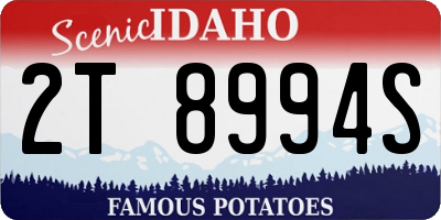 ID license plate 2T8994S