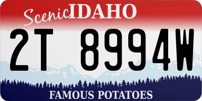 ID license plate 2T8994W