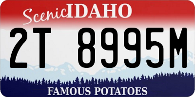 ID license plate 2T8995M
