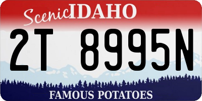 ID license plate 2T8995N